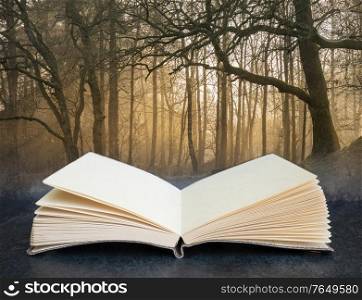 Stunning landscape image of still stream in Lake District forest with beautiful sun beams in pages of open fantasy book