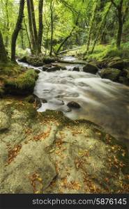 Stunning landscape of river flowing through lush forest Golitha Falls in England