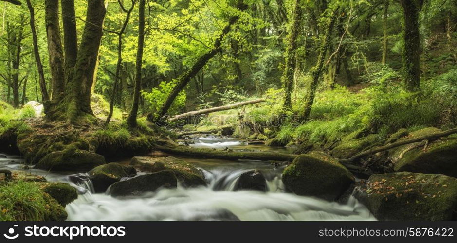 Stunning landscape of river flowing through lush forest Golitha Falls in England