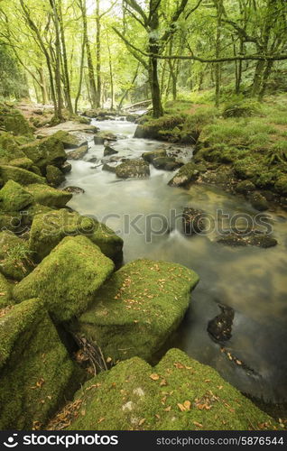 Stunning landscape of river flowing through lush forest Golitha Falls in England