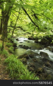 Stunning landscape of river flowing through lush forest Golitha Falls in England