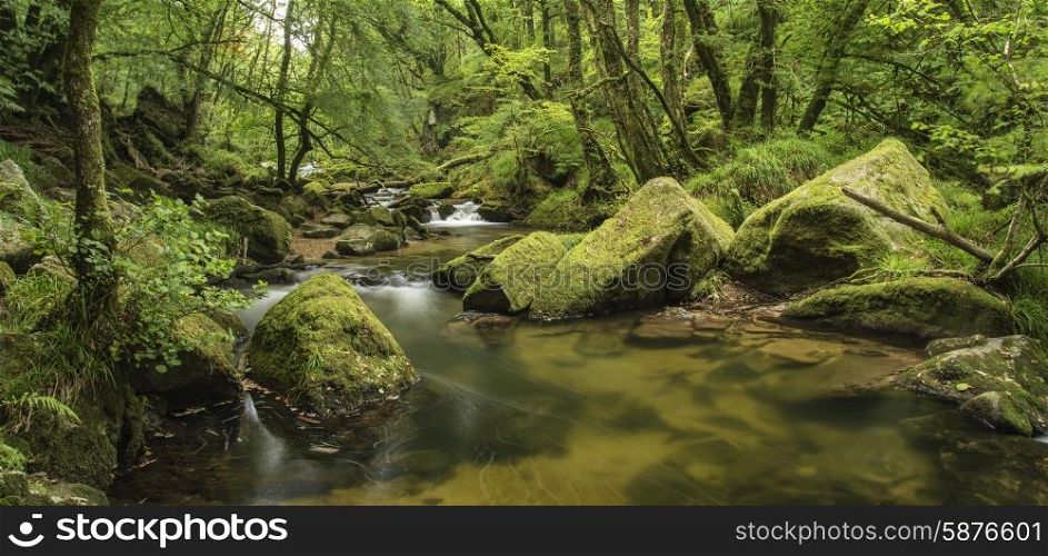 Stunning landscape of river flowing through lush forest Golitha Falls in England