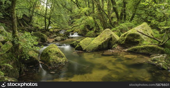 Stunning landscape of river flowing through lush forest Golitha Falls in England