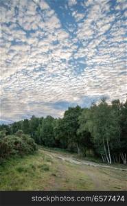Stunning mackerel sky cirrocumulus altocumulus cloud formations in Summer sky landscape