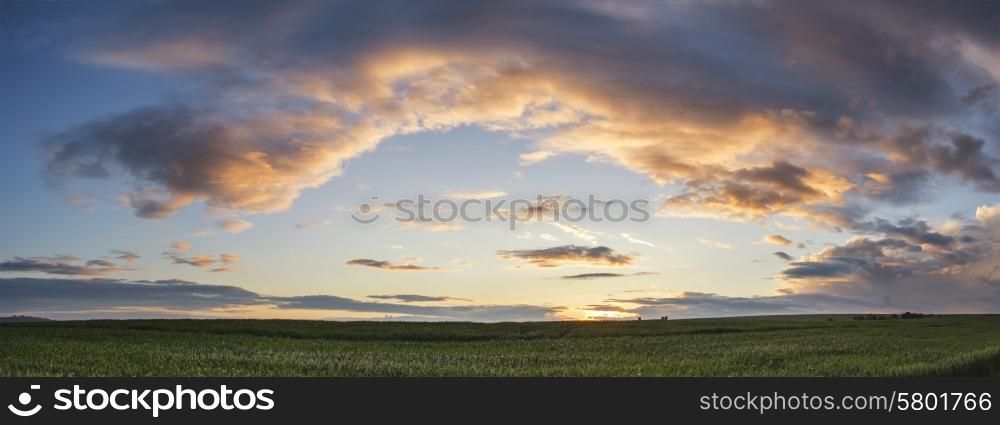 Stunning panorama landscape South Downs countryside in Summer