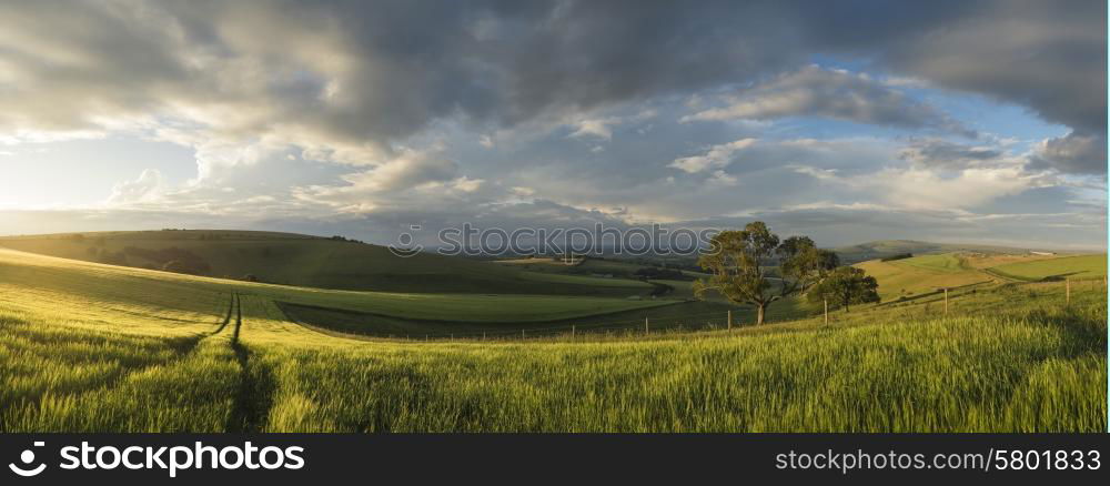 Stunning panorama landscape South Downs countryside in Summer