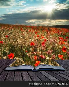 Stunning poppy field landscape in Summer sunset light conceptual book image
