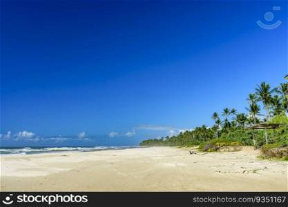 Stunning Sargi beach surrounded by the sea and coconut trees in Serra Grande on the coast of Bahia. Stunning Sargi beach surrounded by the sea and coconut trees