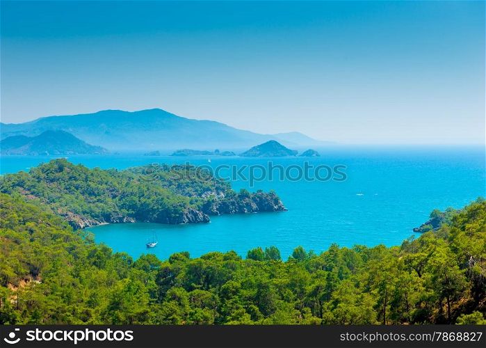stunning seascape and pine forests on the mountains