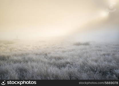 Stunning sun beams light up through thick fog of Autumn Fall frosty landscape