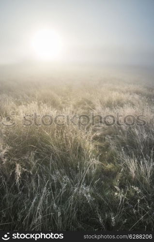 Stunning sun beams light up through thick fog of Autumn Fall frosty landscape