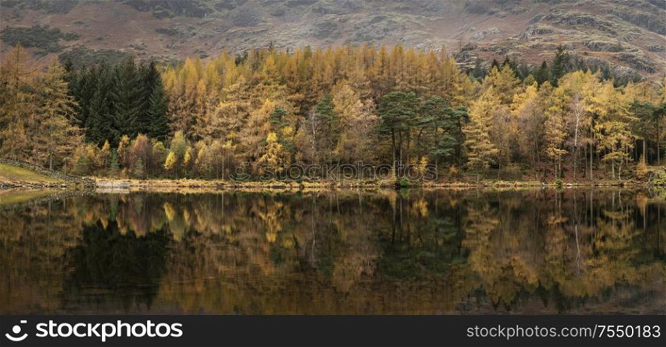 Stunning vibrant Autumn Fall landscape image of Blea Tarn with golden colors reflected in lake