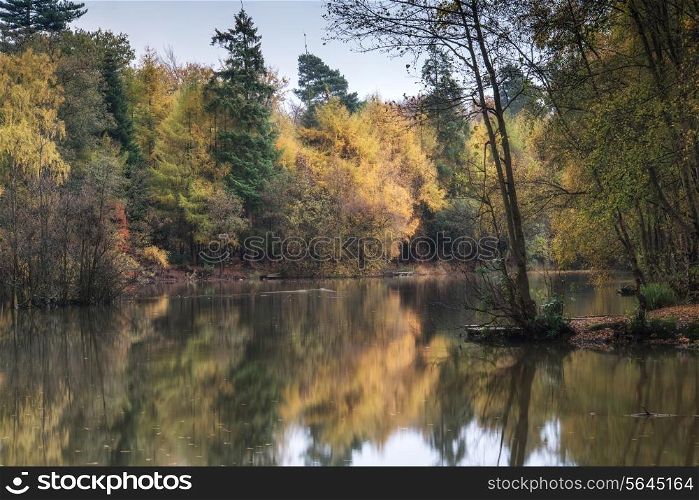 Stunning vibrant Autumn woodland reflected in still lake water landscape