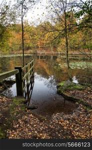 Stunning vibrant Autumn woodland reflected in still lake water landscape