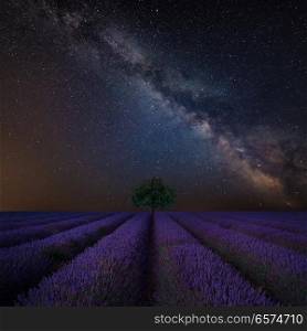 Stunning vibrant Milky Way composite image over landscape of Beautiful lavender field