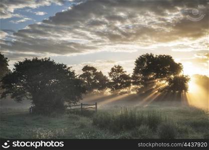 Stunning vibrant Summer sunrise over English countryside landscape