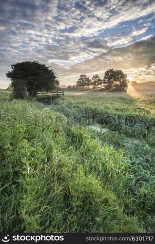 Stunning vibrant Summer sunrise over English countryside landscape