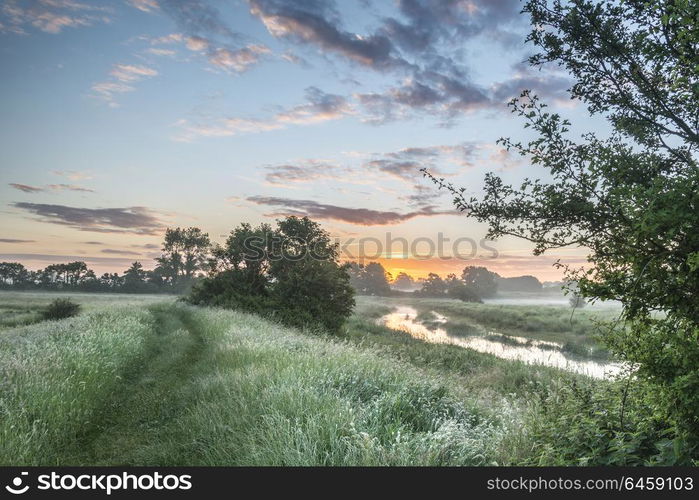 Stunning vibrant Summer sunrise over English countryside landscape