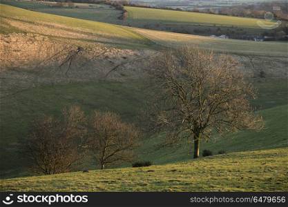 Stunning vibrant sunrise landscape image over English countrysid. Beautiful calm sunrise landscape image over English countryside landscape with lovely light hitting the hills