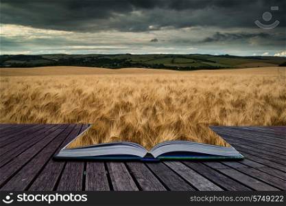 Stunning wheat field landscape under stormy Summer sunset sky conceptual book image