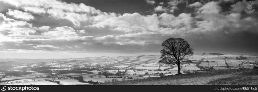 Stunning Winter panorama landscape snow covered countryside in black and white. landscape, panorama, pano, panoramic, nature, natural, calm, peaceful, serene, tranquil, sky, clouds, winter, season, seasonal, snow, ice, snowfall, frost, mountains, range, peak, summit, sunrise, sunset, dawn, evening, morning, countryside, rural, scenic, BLACK AND WHITE; BLACK; WHITE; GREY; TONES; MONOCHROME; MONOCHROMATIC