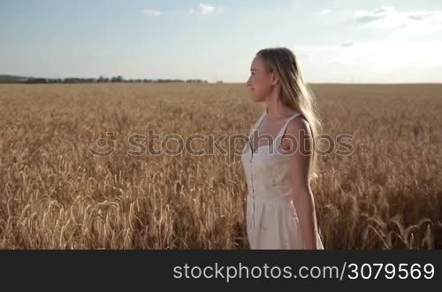 Stunning young female with long blond hair going through cereal field over beautiful landscape. Delighted woman in white dress with arms outstretched walking through golden wheat field and smiling during summer vacation trip. Slo mo. Stabilized shot.
