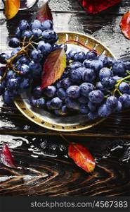 Stylish basket of dark grapes and wine,bathed in autumn rain
