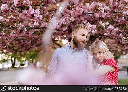 Stylish couple near the Sakura tree with blooming pink flowers. beautiful young couple, man with beard and blonde woman hugging in the spring park. Concept spring. fashion and beauty.. Stylish couple near the Sakura tree with blooming pink flowers. beautiful young couple, man with beard and blonde woman hugging in the spring park. Concept spring. fashion and beauty