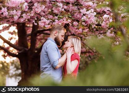 Stylish couple near the Sakura tree with blooming pink flowers. beautiful young couple, man with beard and blonde woman hugging in the spring park. Stylish couple near the Sakura tree with blooming pink flowers. beautiful young couple, man with beard and blonde woman hugging in the spring park.