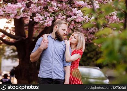 Stylish couple near the Sakura tree with blooming pink flowers. beautiful young couple, man with beard and blonde woman hugging in the spring park. Stylish couple near the Sakura tree with blooming pink flowers. beautiful young couple, man with beard and blonde woman hugging in the spring park.