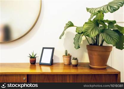 Stylish design with cactus in little pot and green house plant on wooden closet, modern design, near white wall and mirror hanging closeup. Stylish design with cactus in little pot and green house plant on wooden closet, modern design, near white wall and mirror hanging