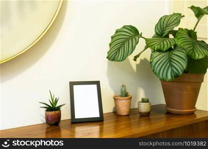 Stylish design with cactus in little pot and green house plant on wooden closet, modern design, near white wall and mirror hanging closeup. Stylish design with cactus in little pot and green house plant on wooden closet, modern design, near white wall and mirror hanging