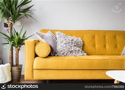 Stylish living room interior with comfortable yellow sofa and green plant modern design. Stylish living room interior with comfortable yellow sofa and green plant