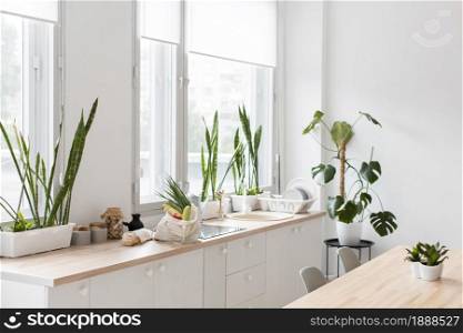 stylish minimalistic kitchen with plants. Resolution and high quality beautiful photo. stylish minimalistic kitchen with plants. High quality and resolution beautiful photo concept