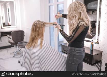 stylist giving haircut young client