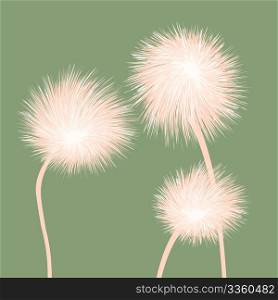 Stylized dandelions illustration background for web