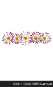 Subtraction With Pink And White Daisies