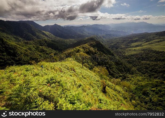 Subtropical rainforest and mountains