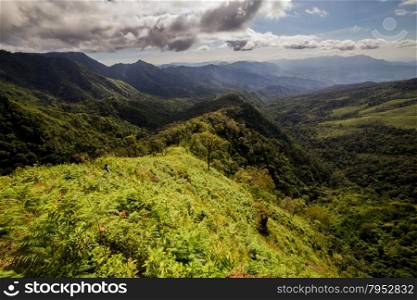 Subtropical rainforest and mountains