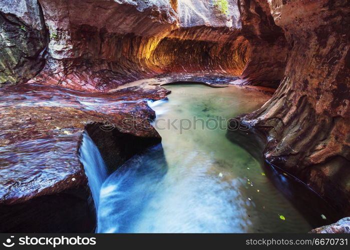 Subway in Zion. Narrows in slot canyon, Zion National Park, Utah, USA