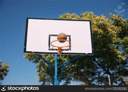 successful basketball hoop shoot