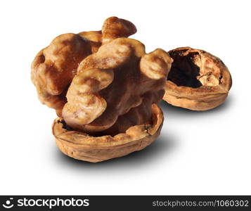Successful investment concept as a huge nut inside a small walnut shell as a pension fund symbol as an icon for profits or as a business success metaphor.