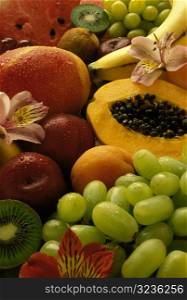 Succulent Array of Fruit