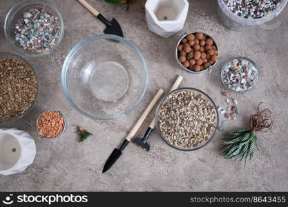 Succulent haworthia Plant with roots ready for planting into White ceramic Pot.. Succulent haworthia Plant with roots ready for planting into White ceramic Pot