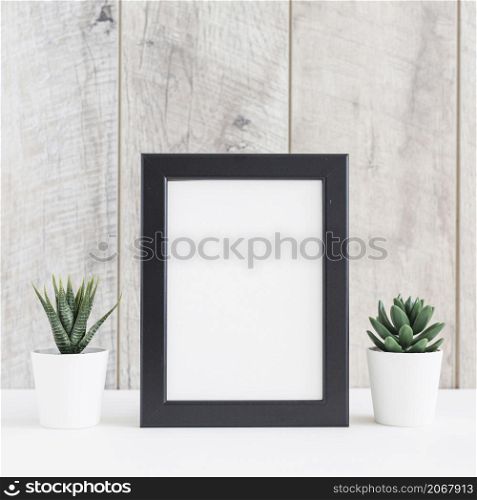 succulent plant two white pot with blank picture frame against wooden wall