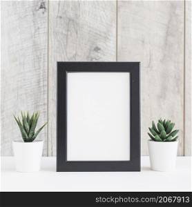 succulent plant two white pot with blank picture frame against wooden wall