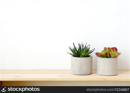 Succulent plants on wood table over white cement wall background, template with copy space
