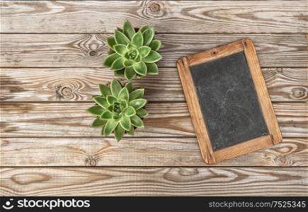 Succulent plants with vintage chalkboard on rustic wooden background. Floral flat lay