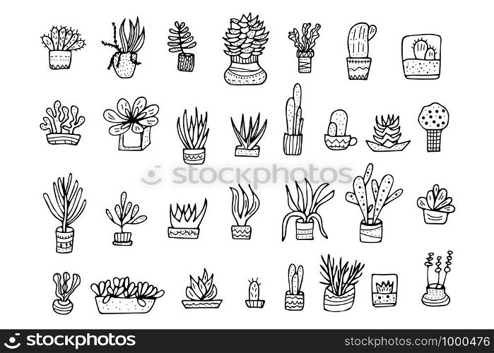 Succulents in doodle style. Set of house plants. Poster, banner, greeting card, print isolated elements. Vector black and white design illustration.