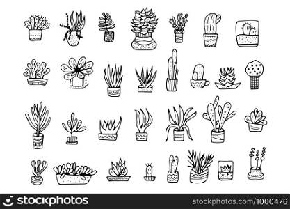 Succulents in doodle style. Set of house plants. Poster, banner, greeting card, print isolated elements. Vector black and white design illustration.